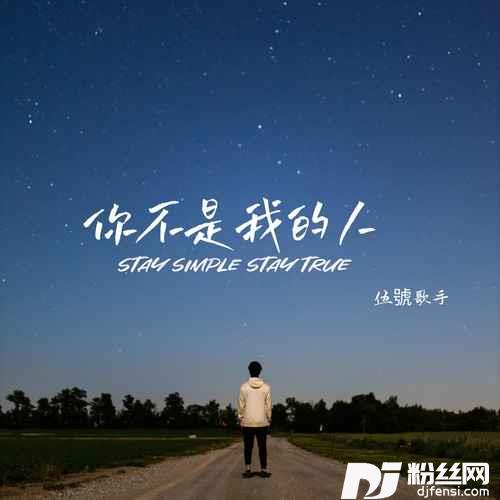 你不是我的人的专辑