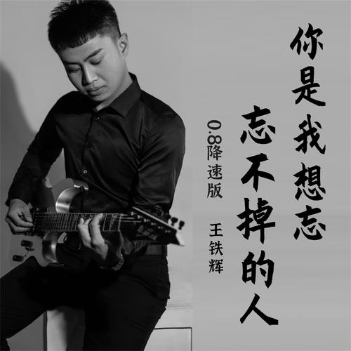 你是我想忘忘不掉的人0.8降速版