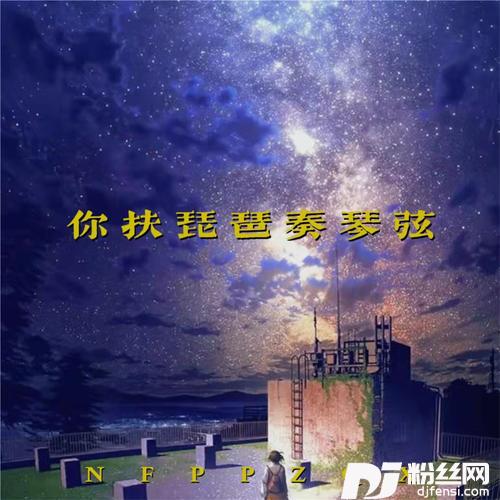 你抚琵琶奏琴弦DJ热播版