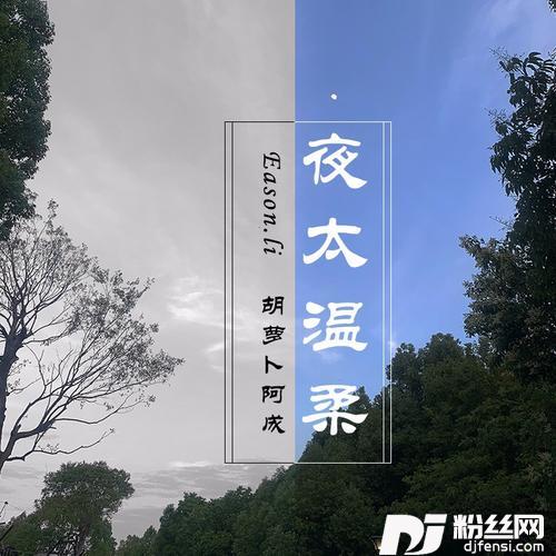 夜太温柔（DJ版）