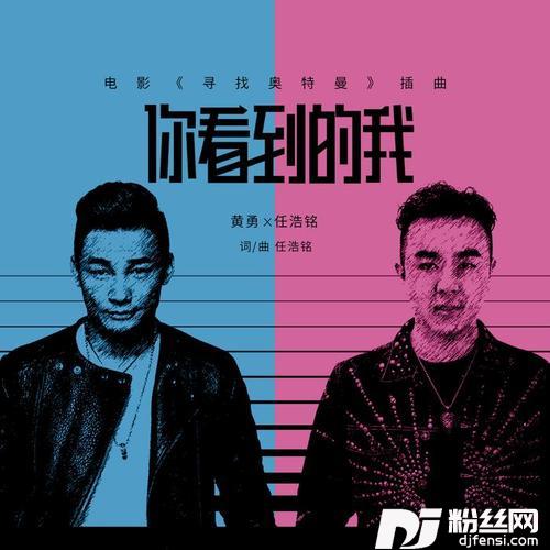 你看到的我DJ版的专辑
