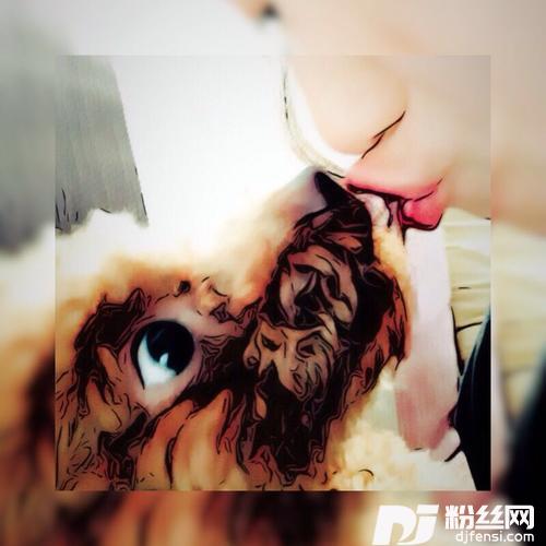 一条狗的使命