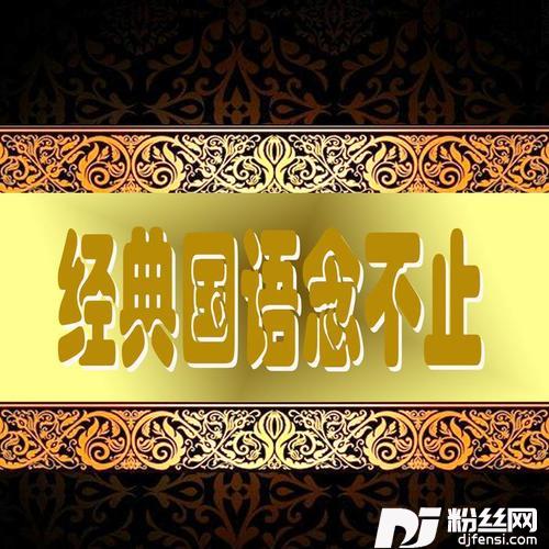 沙漠驰情