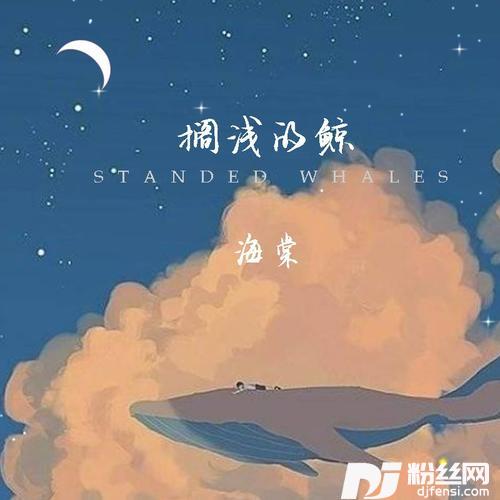 搁浅的鲸