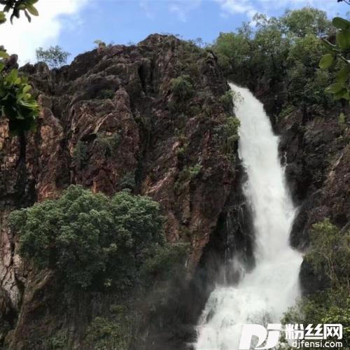 错把路灯当月光
