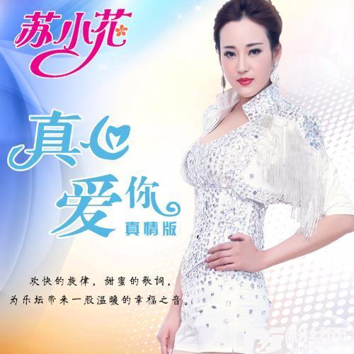 真心爱你真情版的专辑