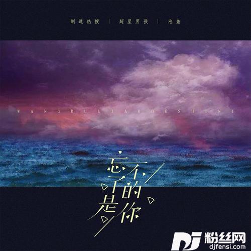 忘不了的是你说唱版