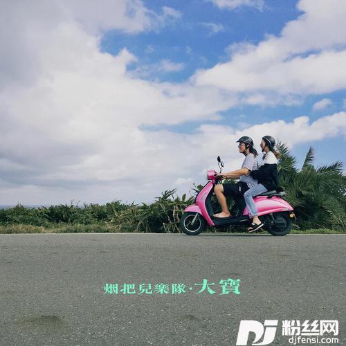 大宝的专辑