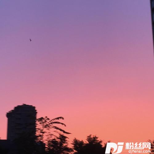 晚的专辑