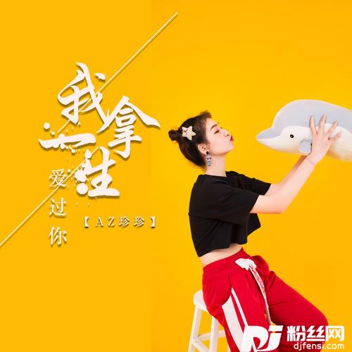 我拿一生爱过你