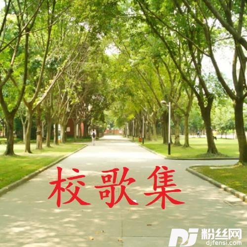 实中梦、青春梦（当阳市实验中学）