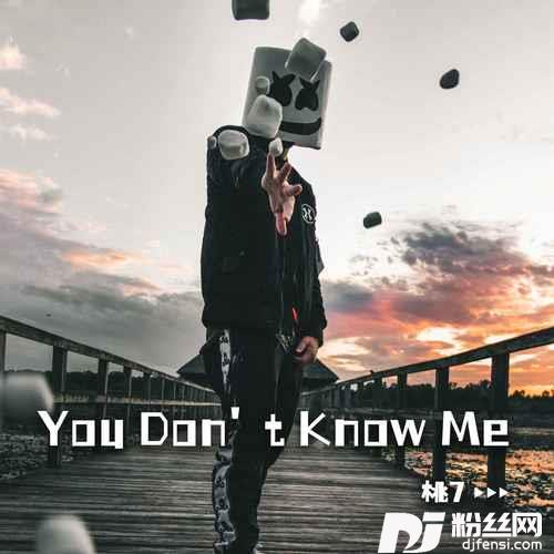 YouDon’tKnowMe降速版