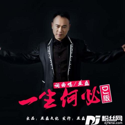 一生何必（DJ版）的专辑
