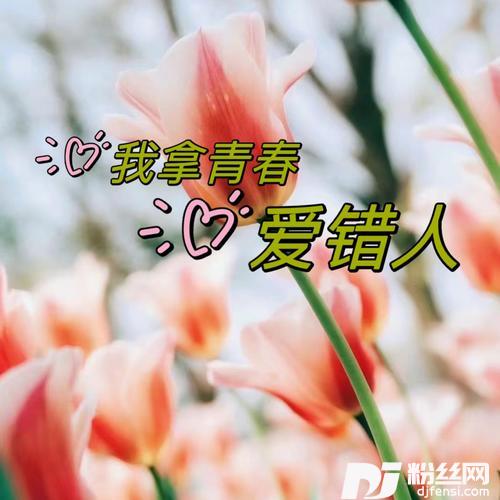 我拿青春爱错人cover:小鬼阿秋