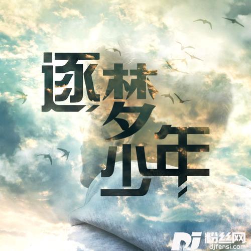 逐梦少年的专辑