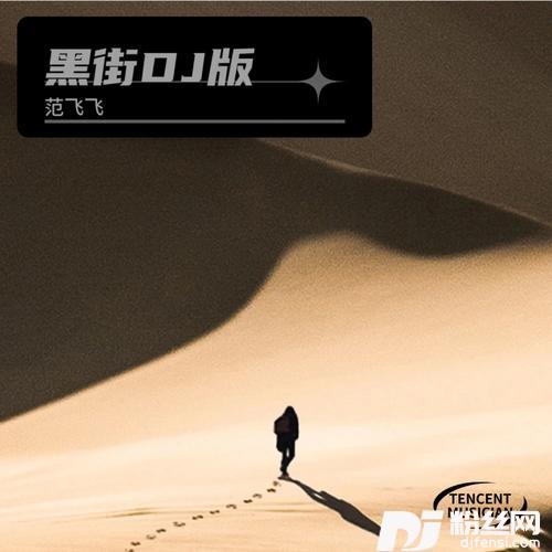 黑街cover:大大大大豪