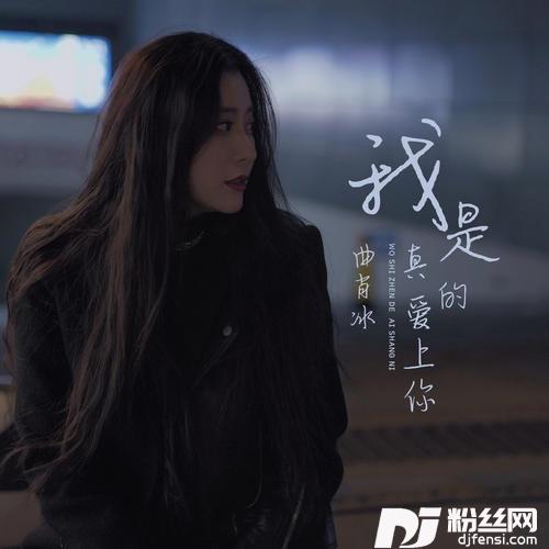 我是真的爱上你的专辑