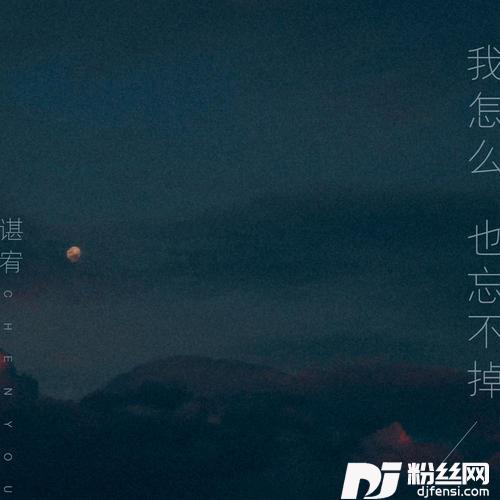 我怎么也忘不掉