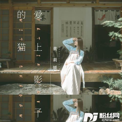 爱上影子的猫的专辑
