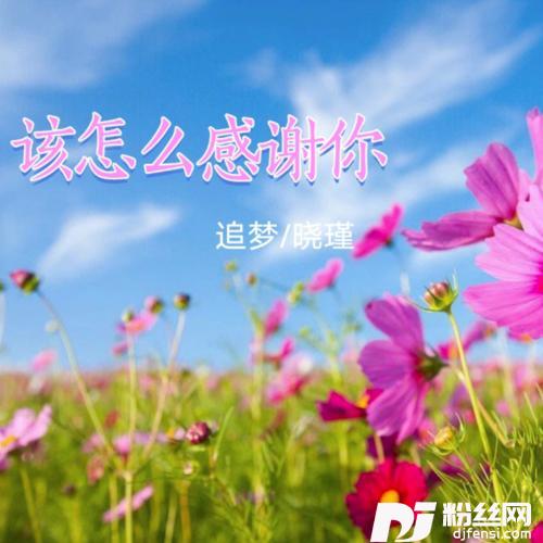 该怎么感谢你（DJ月之歌版）cover:芳格格|望海高歌的专辑