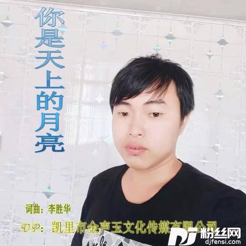 你是天上的月亮的专辑