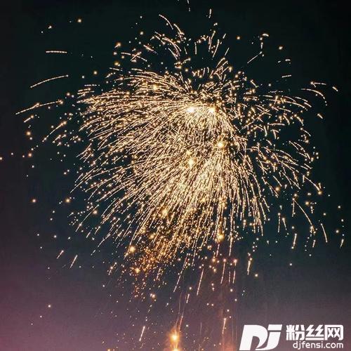 山花寻海树cover:黄诗扶
