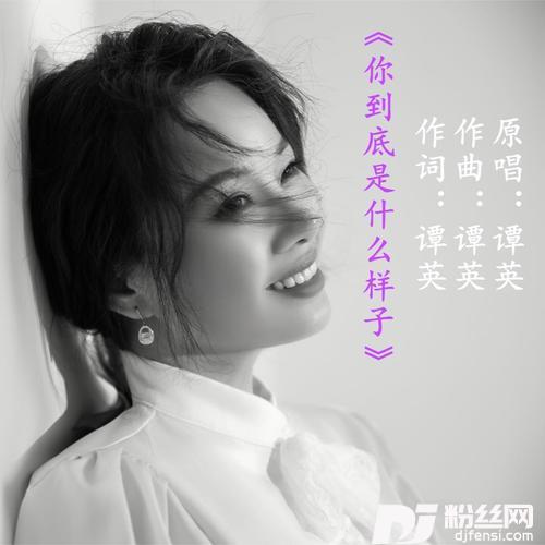 你到底是什么样子的专辑