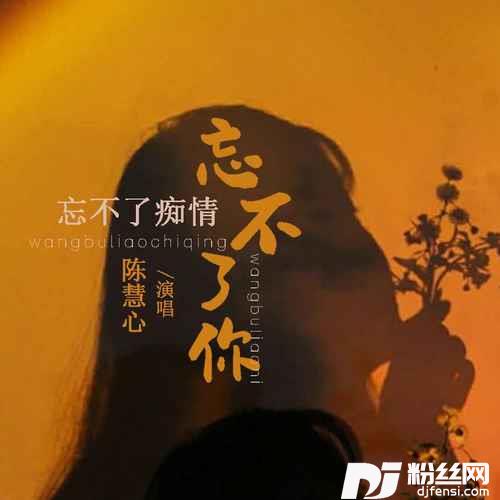 忘不了痴情忘不了你DJ默涵版