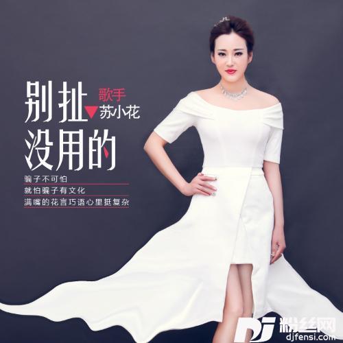 别扯没用的DJ何鹏版的专辑