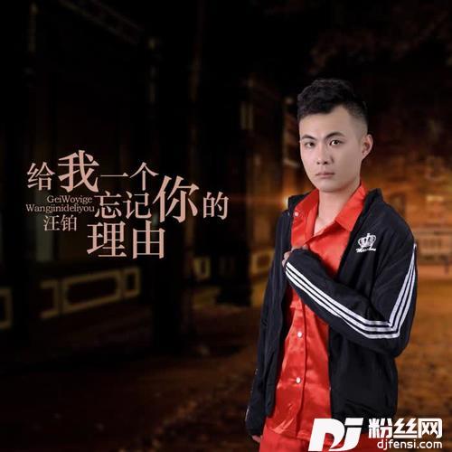 给我一个忘记你的理由