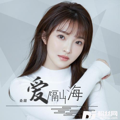 爱隔山海DJ可乐版