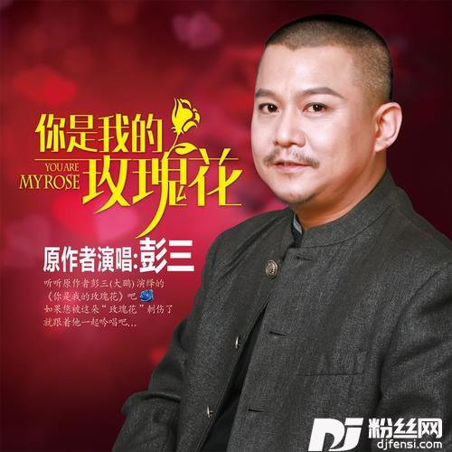 你是我的玫瑰花