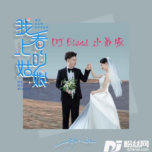 我看上的姑娘DJEland小弟remix的专辑
