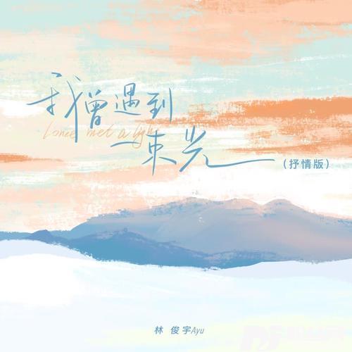 我曾遇到一束光抒情男版