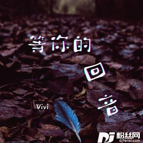 等你的回音