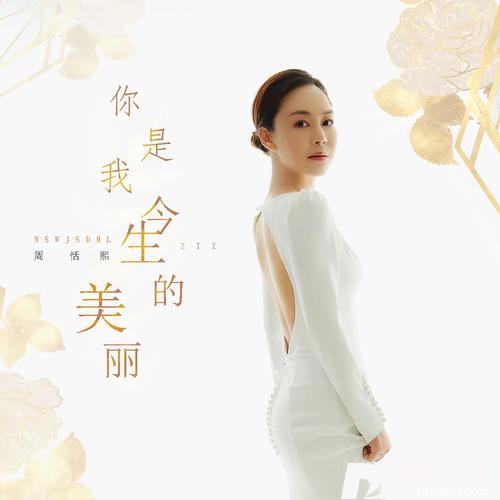 你是我今生的美丽