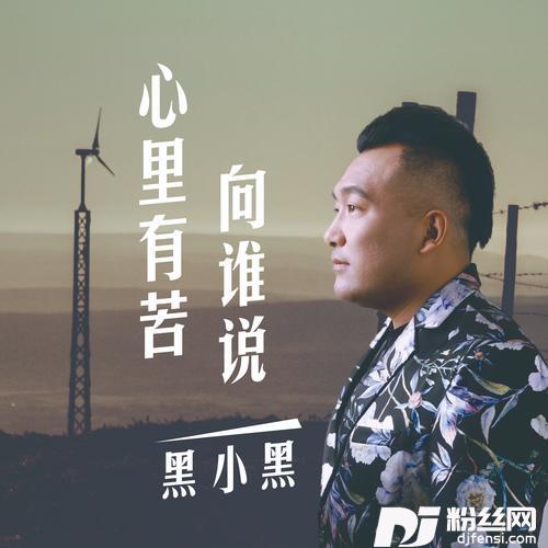 心里有苦向谁说（DJ默涵）