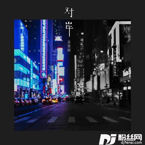 对岸