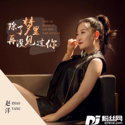 除了梦里再没见过你DJ版的专辑