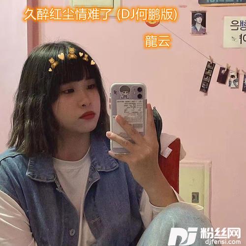 久醉红尘情难了DJ何鹏版