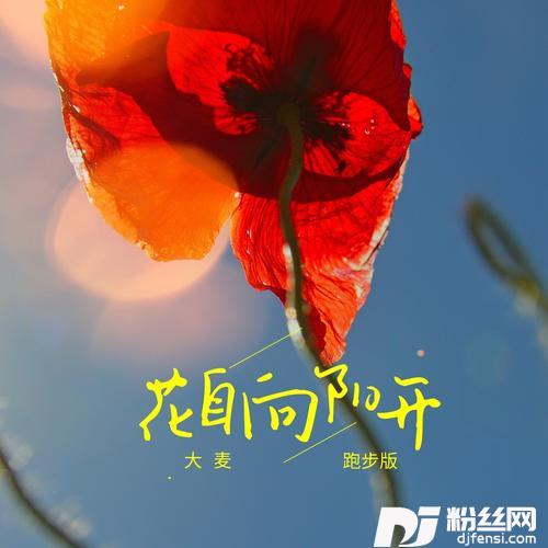 花自向阳开DJ九零版的专辑图片
