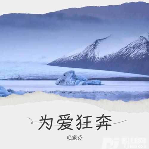 为爱狂奔cover:李婷婷的专辑
