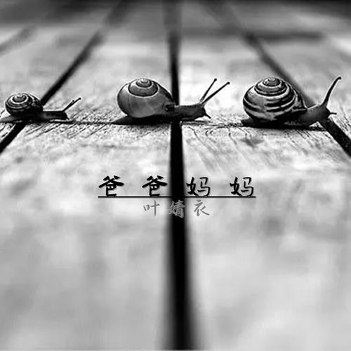 爸爸妈妈