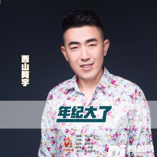 年纪大了的专辑