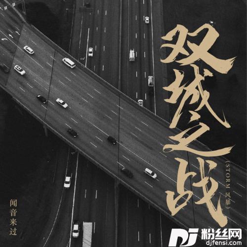 双城之战Storm风暴