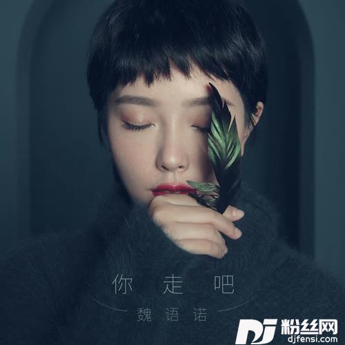 你走吧的专辑