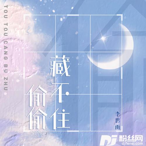 偷偷藏不住的专辑
