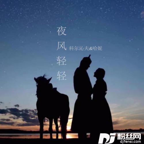 夜风轻轻