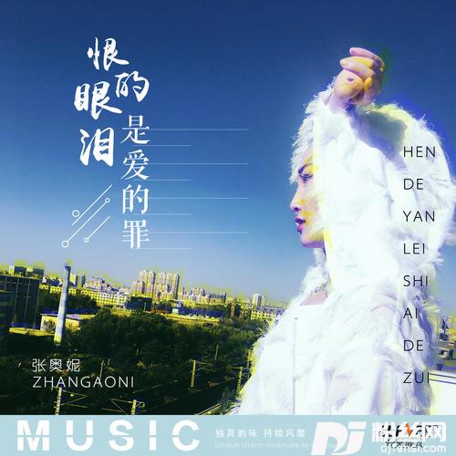 恨的眼泪是爱的罪DJ版
