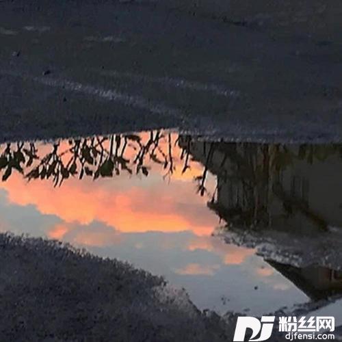 乌鸦说情话女声版的专辑